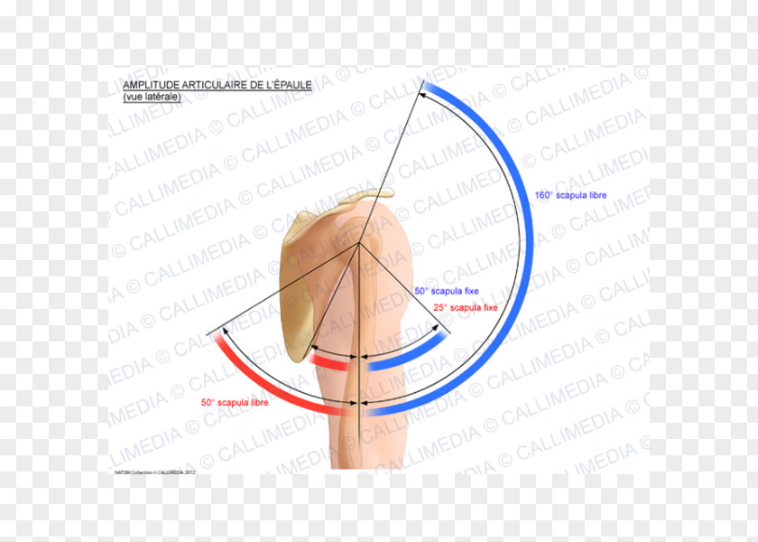 Line Finger Angle PNG