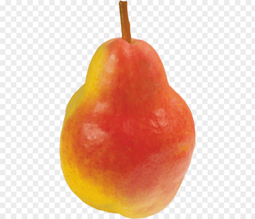 Pear Stock Photography PNG