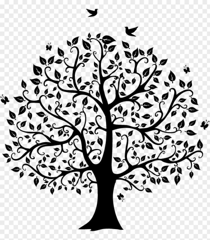 Blackish Family Tree Genealogy Clip Art PNG