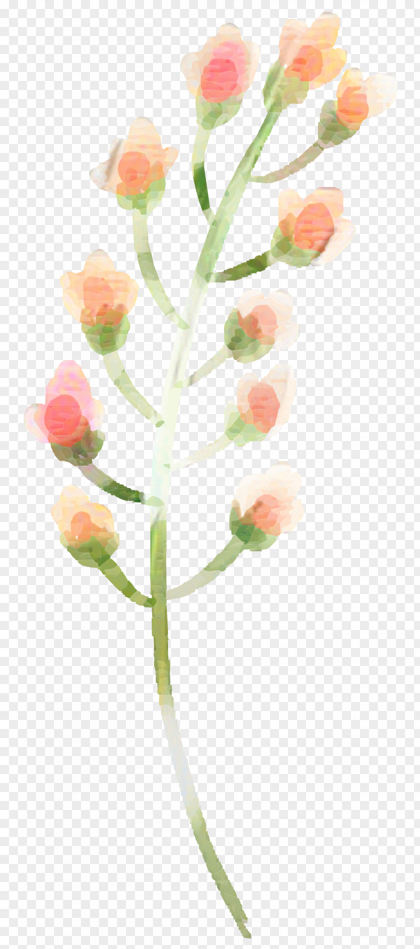 Branch Artificial Flower Watercolor Pink Flowers PNG