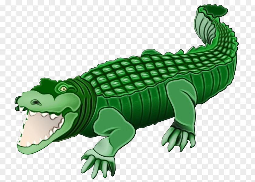 Tail American Alligator Watercolor Animal PNG