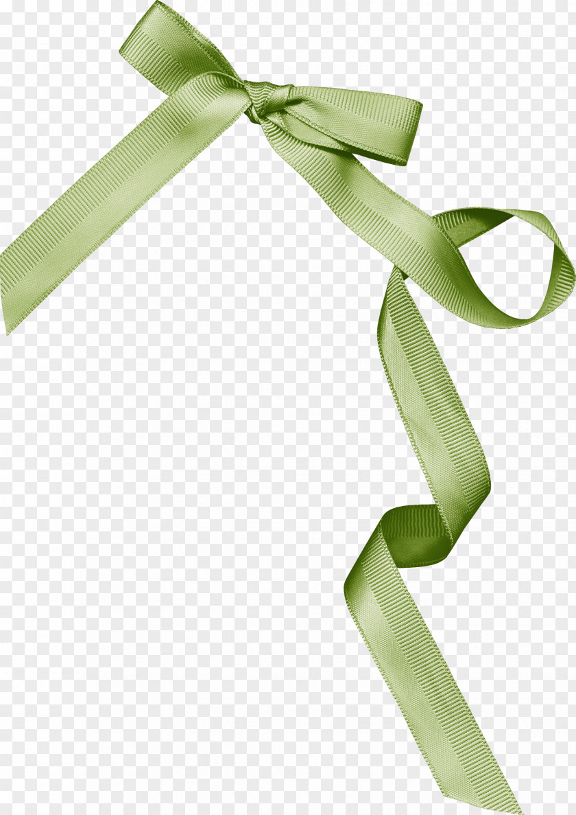 White Ribbon Author Clip Art PNG