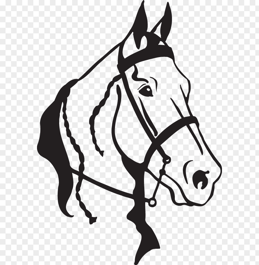 Arab Horse Running American Quarter Clip Art Arabian Openclipart Head Mask PNG