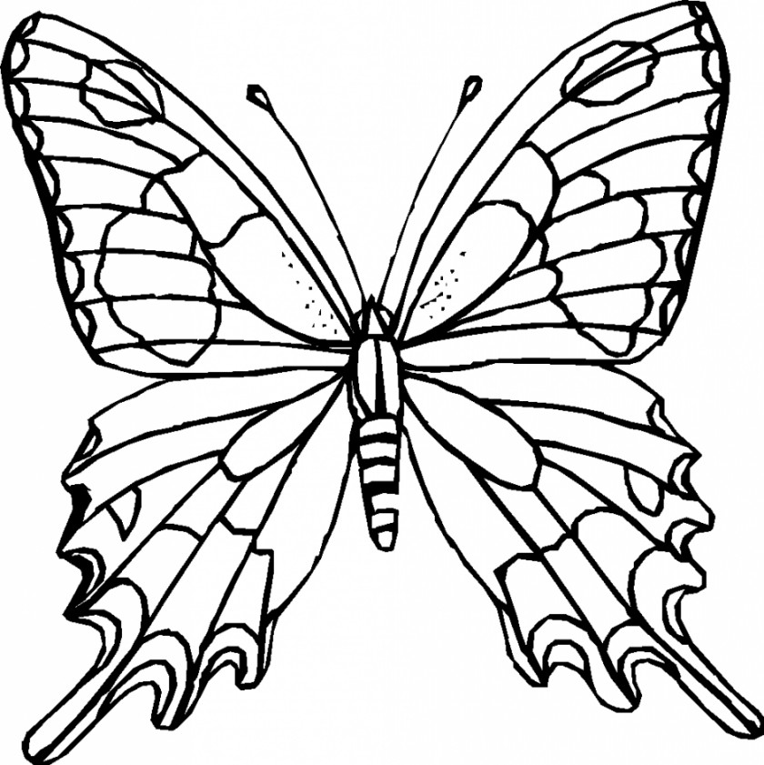 Black And White Outline Pictures Monarch Butterfly Coloring Book Clip Art PNG