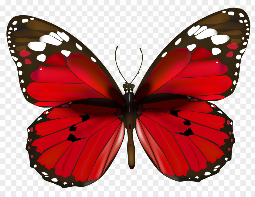 Butterfly Red Clip Art PNG
