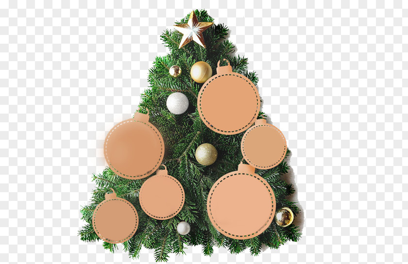 Christmas Tree Still Show Gratis Ornament PNG