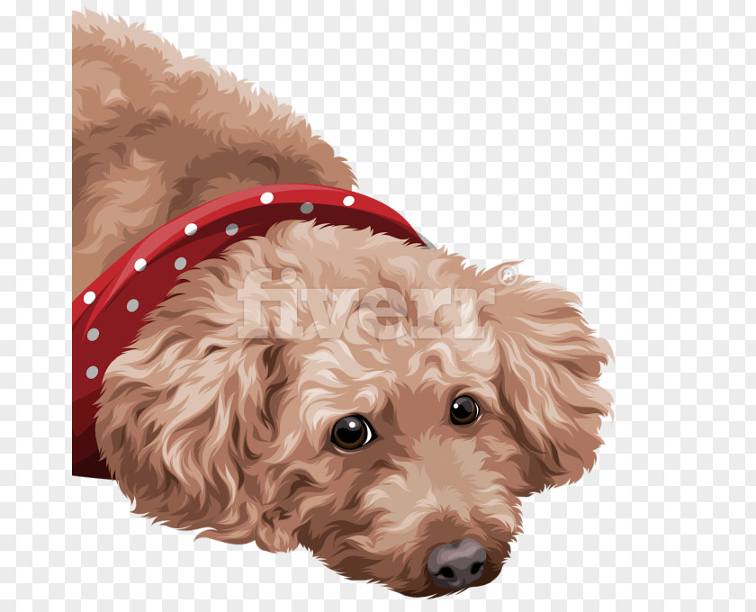 Dog Poodle Cockapoo Puppy Toy PNG