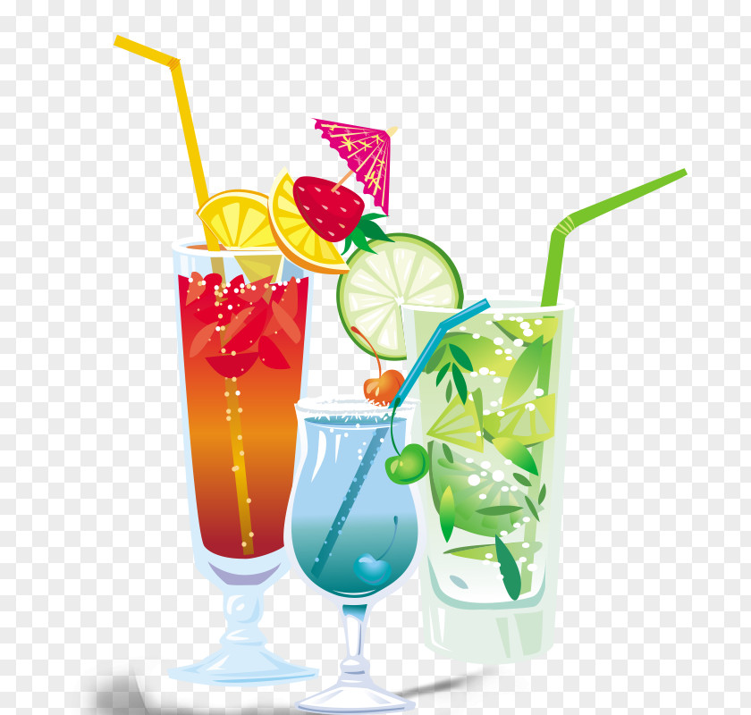 Fruit Juice Maker U4e2du56fdu5c45u6c11u81b3u98dfu6307u5357 Drink PNG