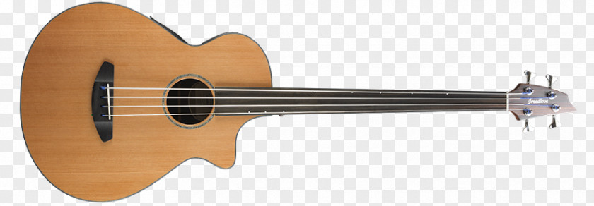 Guitar Acoustic Bass Fretless PNG