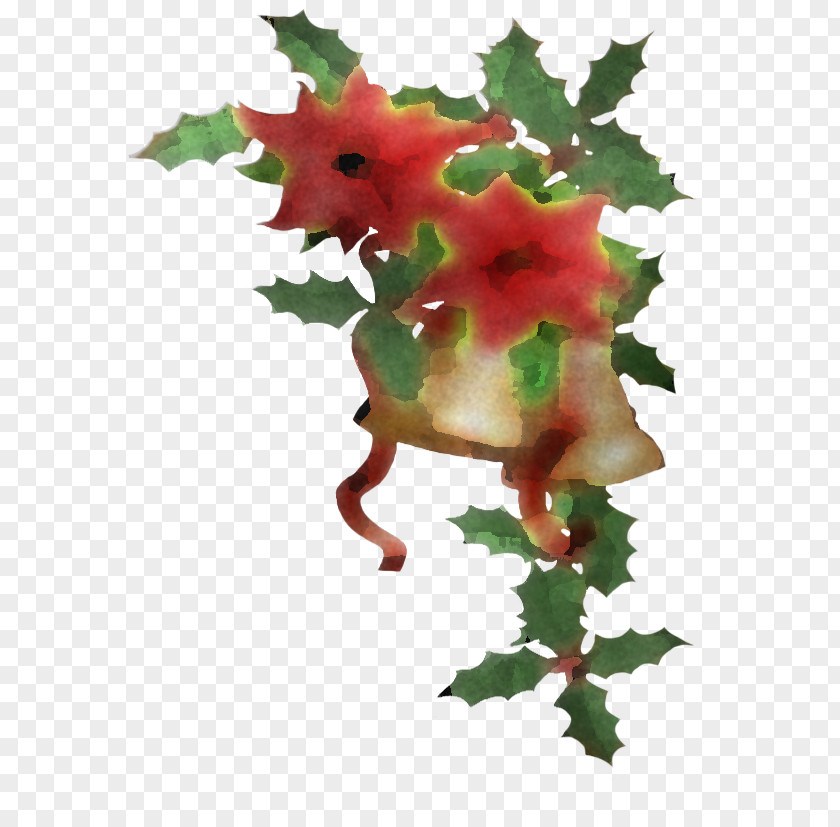 Holly PNG