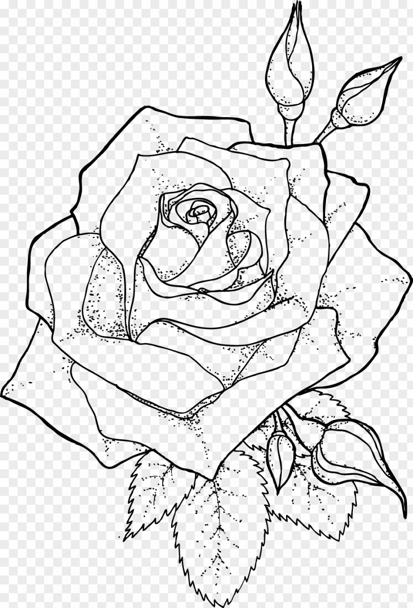 Rose Outline Drawing Line Art Coloring Book PNG