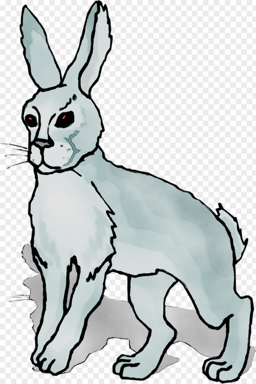 Whiskers Domestic Rabbit Hare Cat Dog PNG