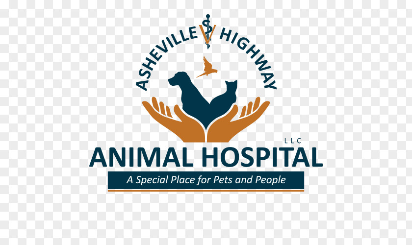 Dog Logo Exotic Pet Veterinarian Clinique Vétérinaire PNG