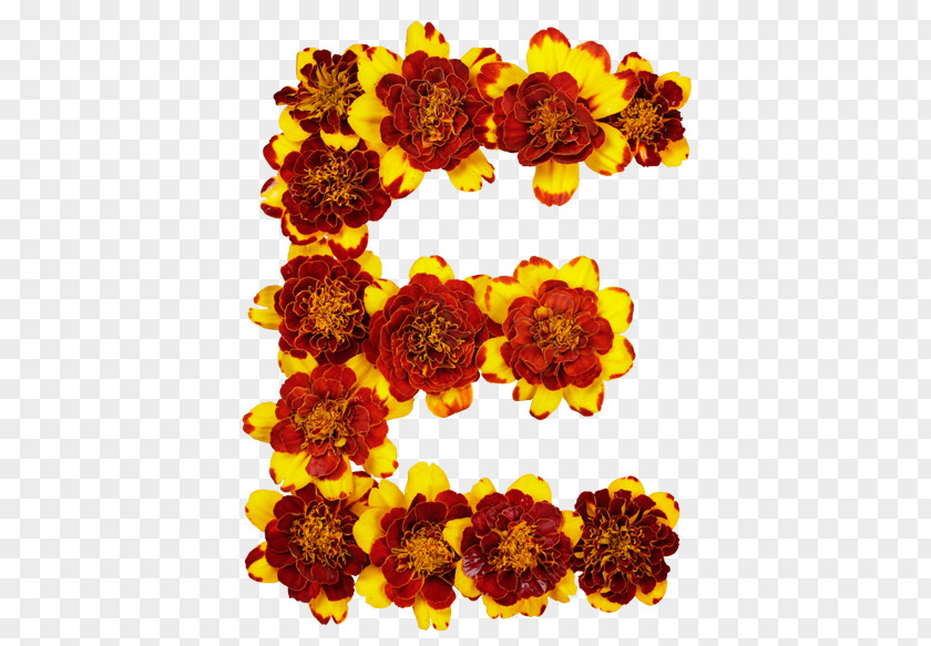Flower Letter Case Alphabet Font PNG