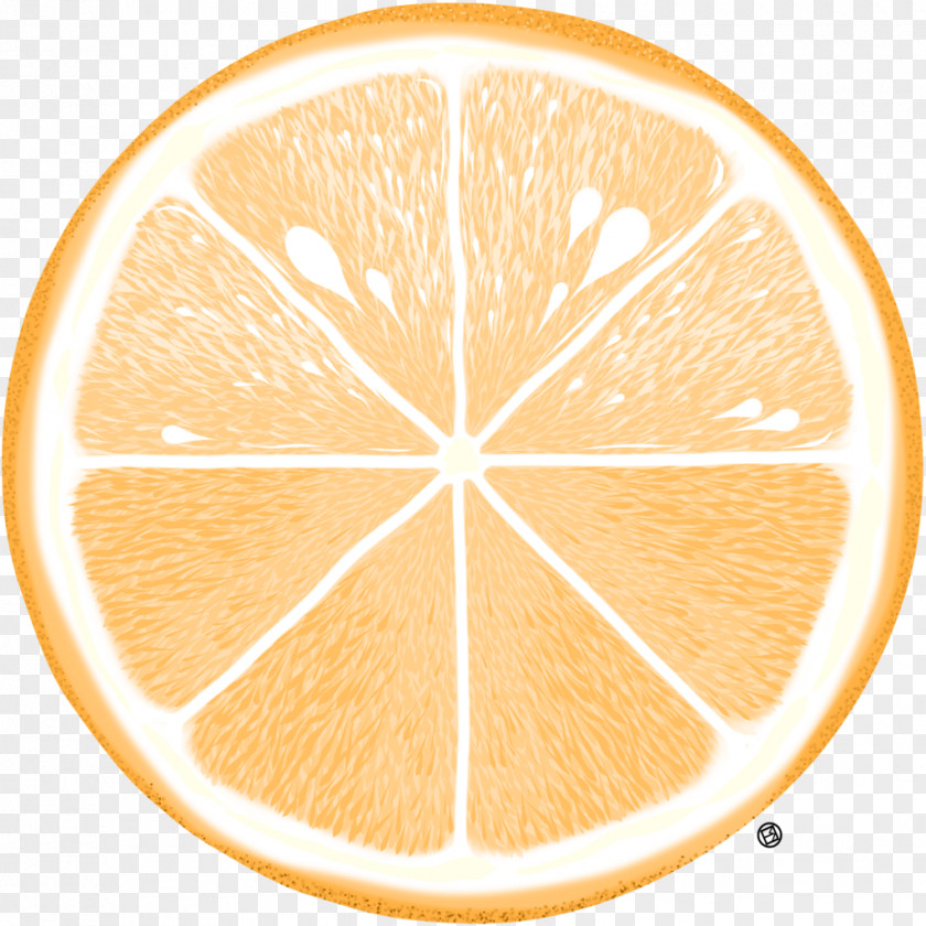 Grapefruit Lemon Citric Acid Circle PNG