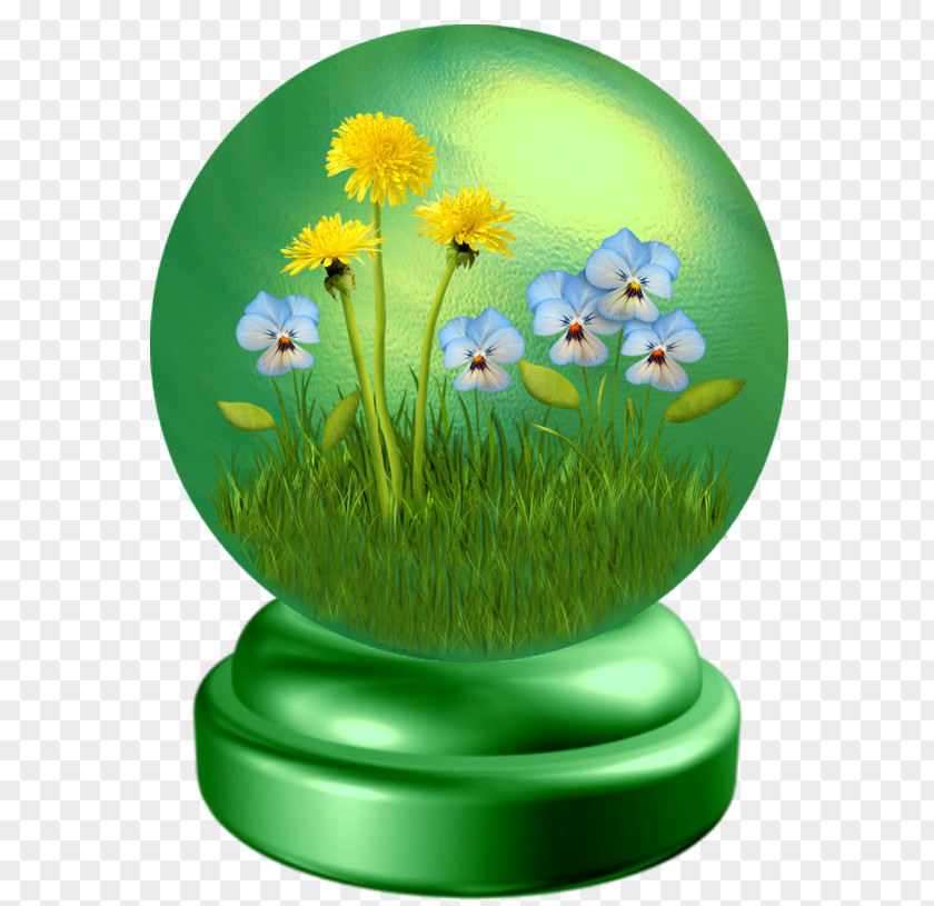 Meadow Camomile Easter Egg Background PNG