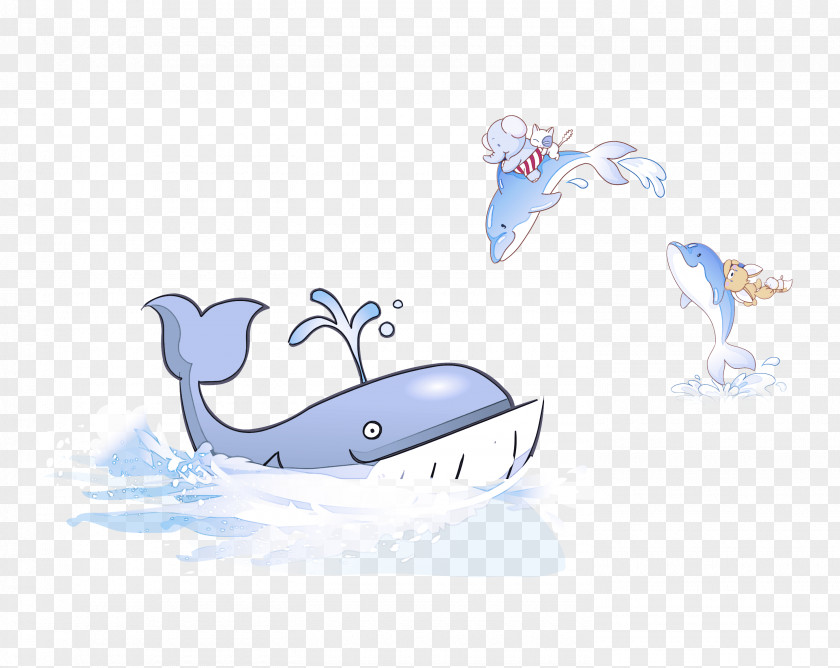 Sperm Whale Blue Cetacea Dolphin PNG