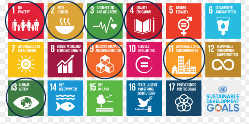 Business Sustainable Development Goals Sustainability United Nations Global Compact World PNG