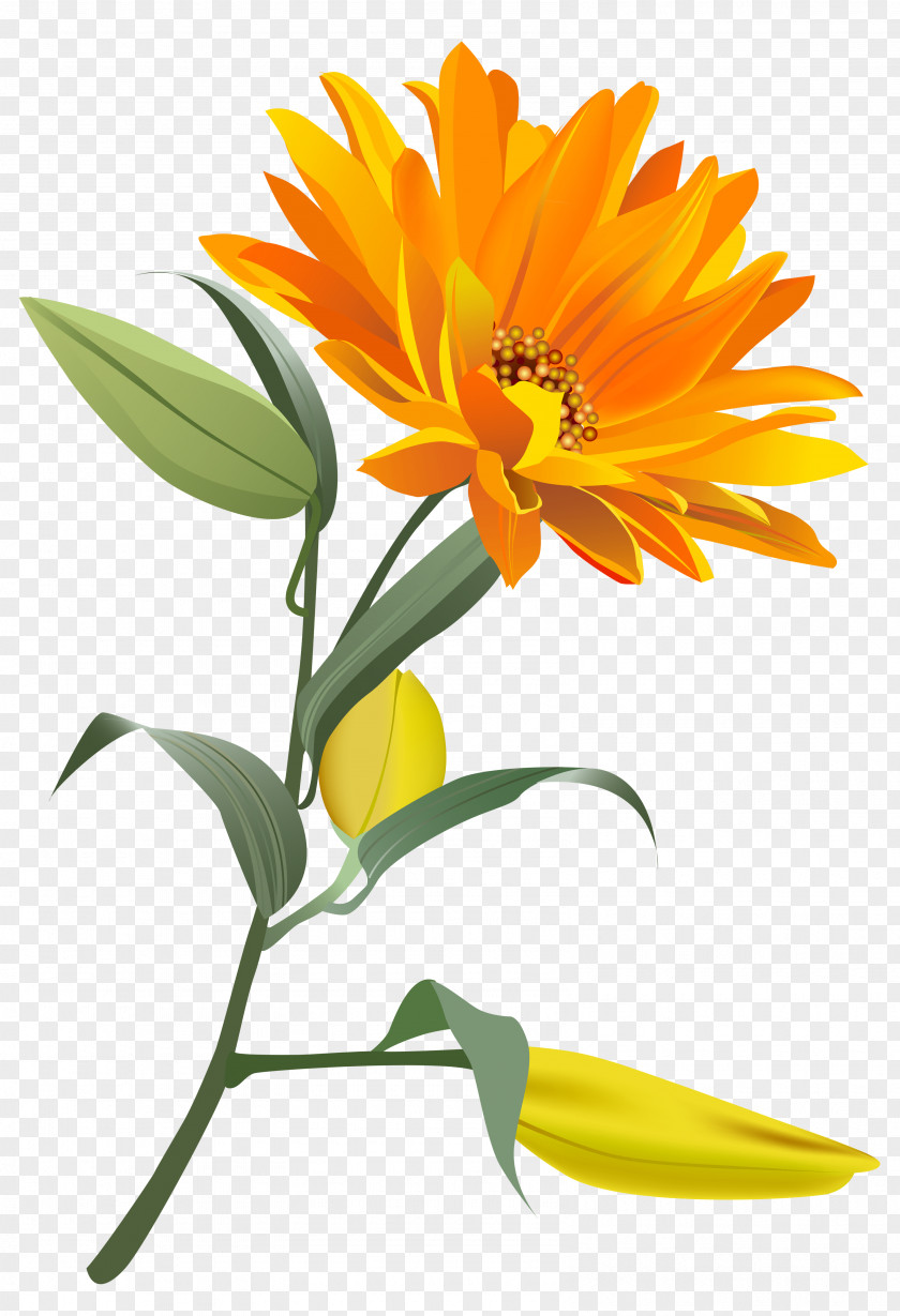 Orange Flower Clip Art Image PNG