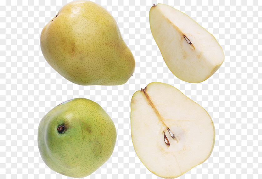 Pear Megabyte Clip Art PNG