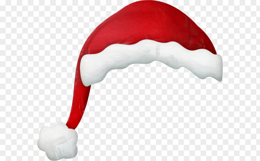Santa Claus Christmas Hat Character Wasp PNG