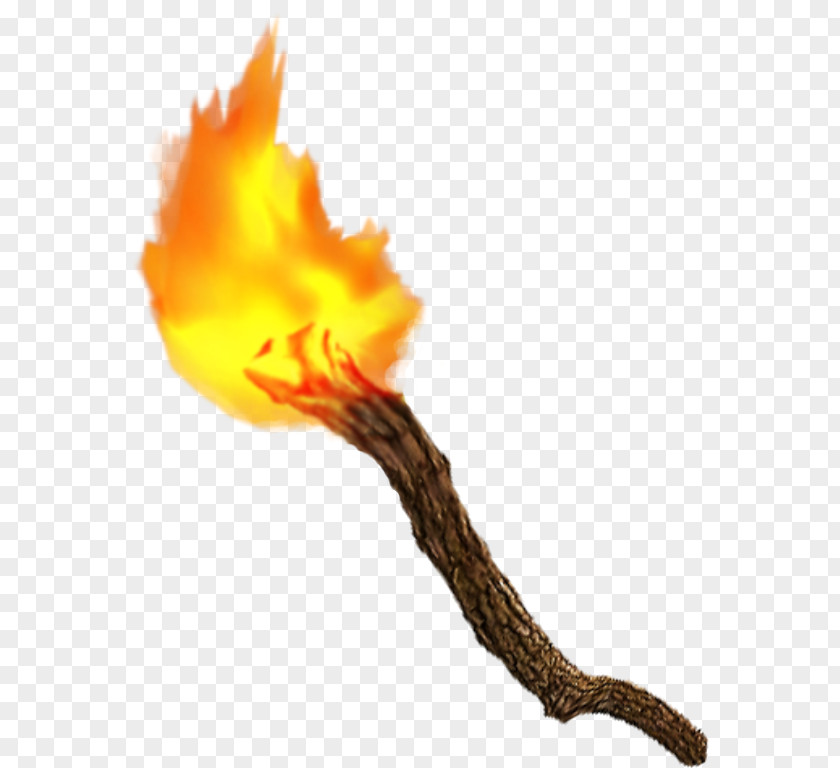 Torch Flame Drawing Stock PNG