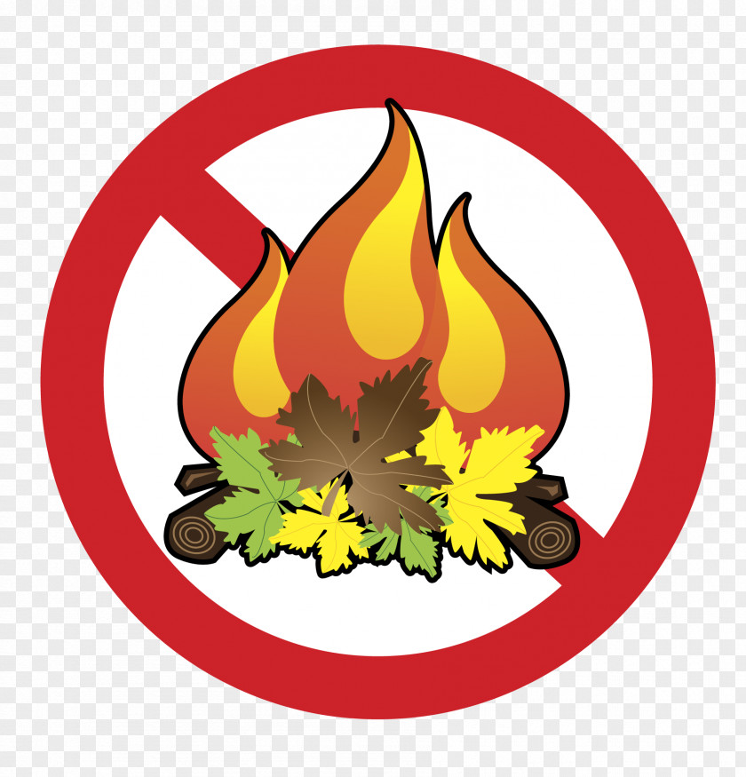 Burning Fire Clip Art PNG