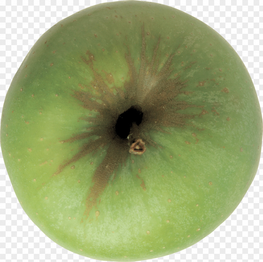 GREEN APPLE Mariology Of The Catholic Church Divine Mercy La Divina Misericordia Coronation Virgin PNG