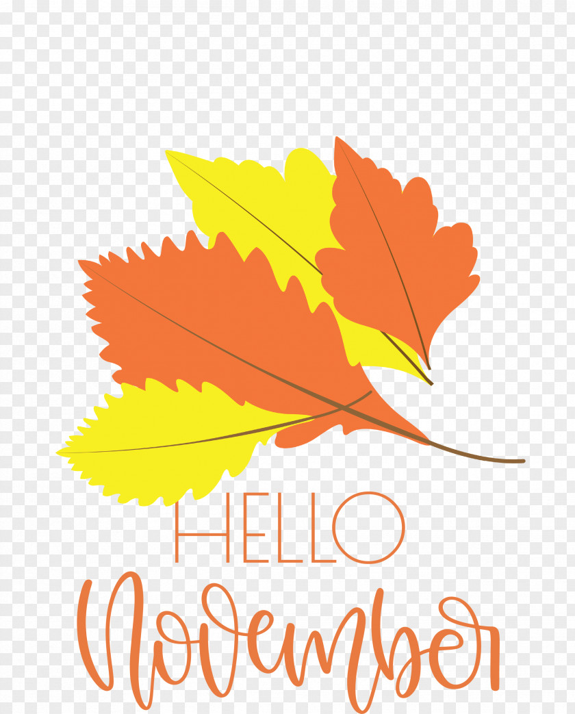 Hello November November PNG