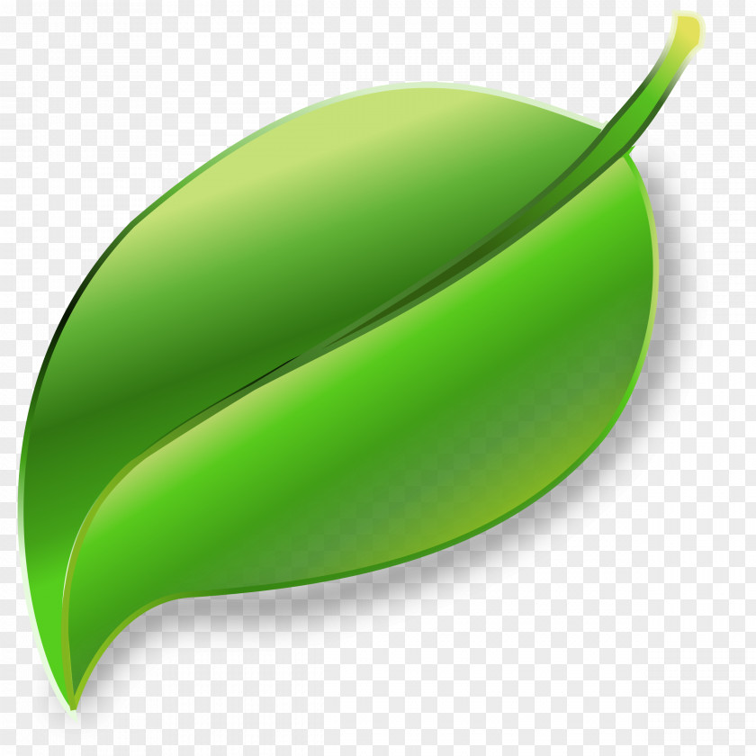 Leaf Clip Art PNG