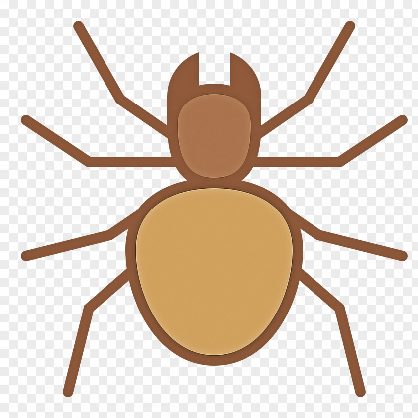 Parasite Arachnid Insect Pest Spider Tarantula PNG