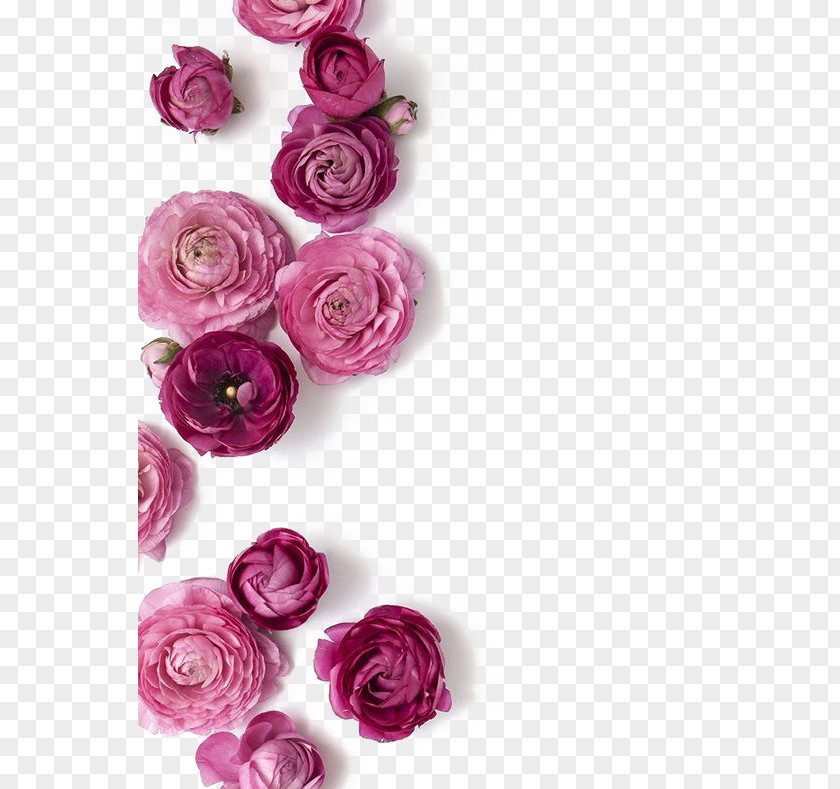 Purple Flowers Pink Wedding Flower Bouquet PNG