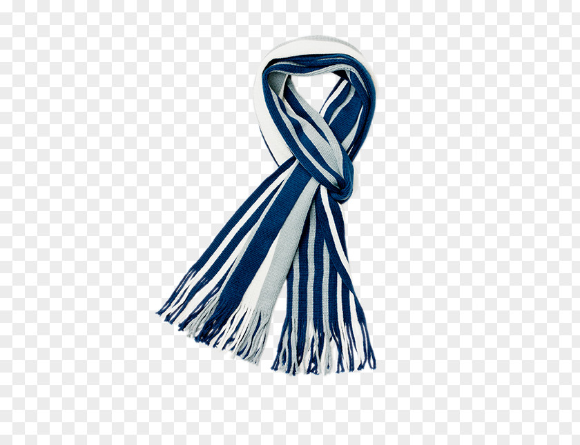 Scarf Blue Neck PNG