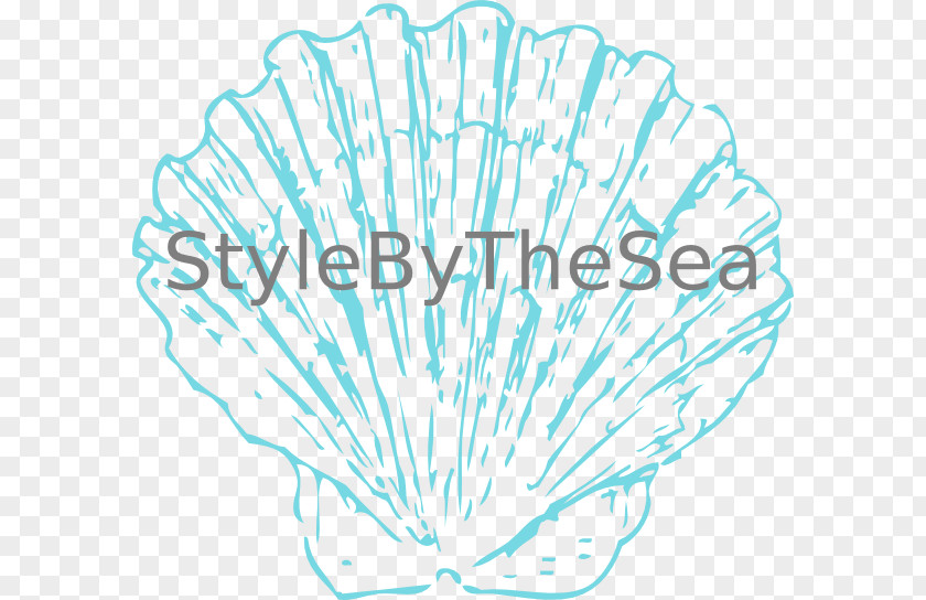 Conch Seashell Clip Art PNG