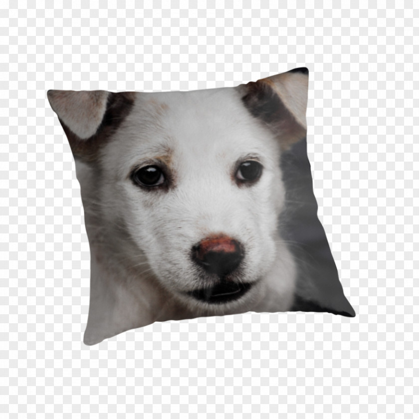 Sad Puppy Dog Breed Siberian Husky Kishu Pillow PNG