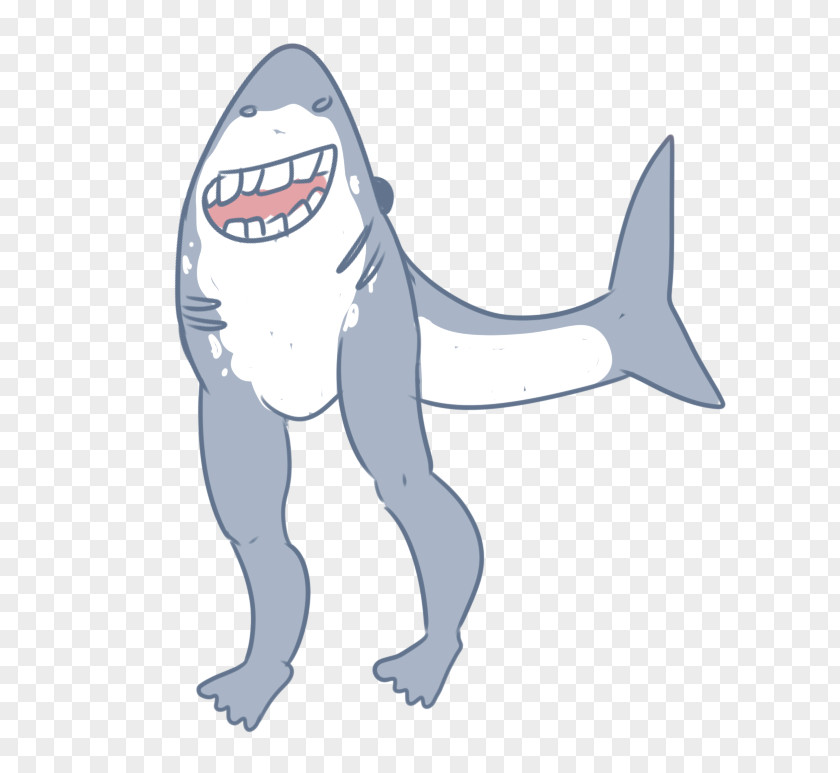 Shark Tooth Cartilaginous Fishes PNG