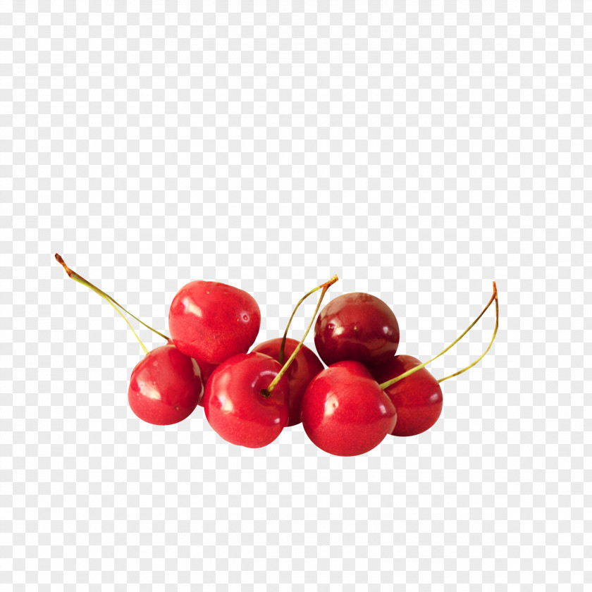 Cherry Clip Art PNG