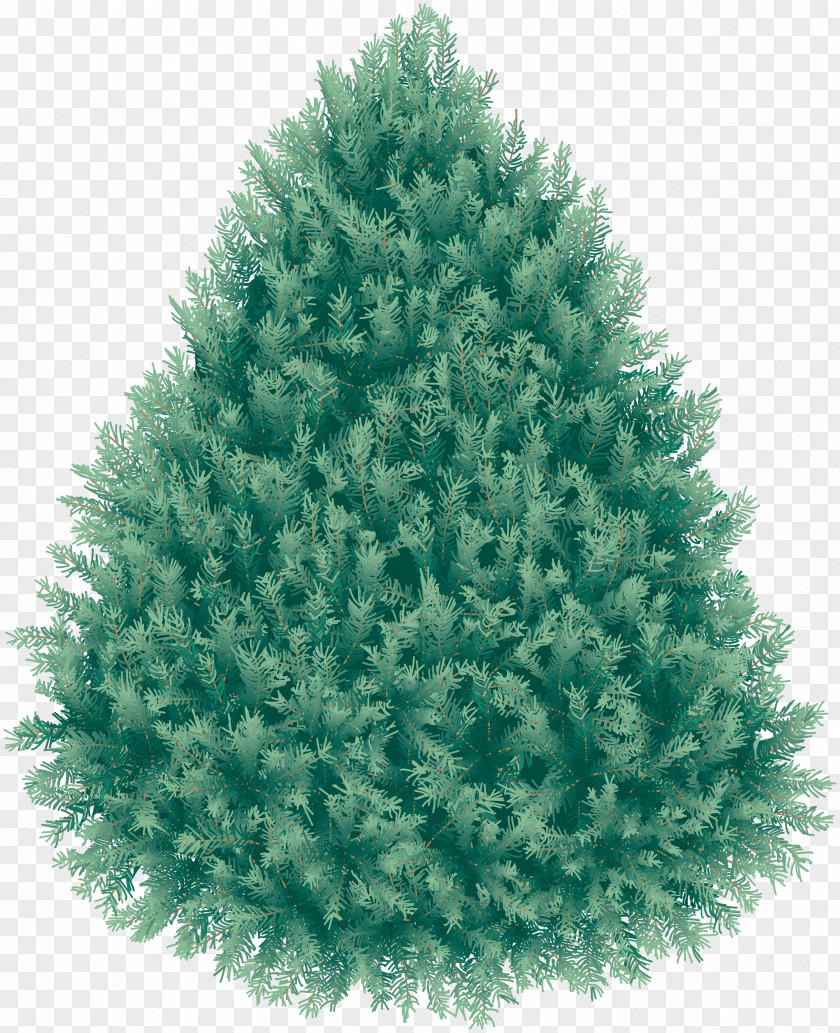 Christmas Fir-tree Image Blue Spruce PNG