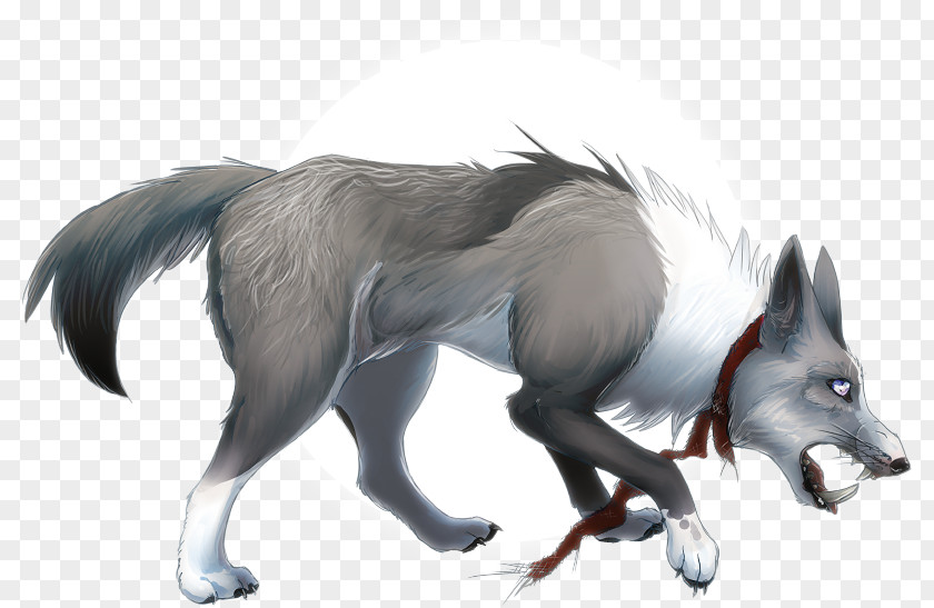 Dog Fox Art Fur Gray Wolf PNG