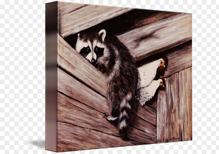 Painting Art Raccoon Printmaking Ain't Nobody Here But Us Chickens PNG