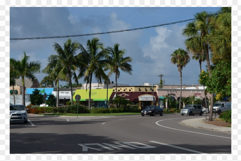 Arecaceae Advertising Transport Property Suburb PNG