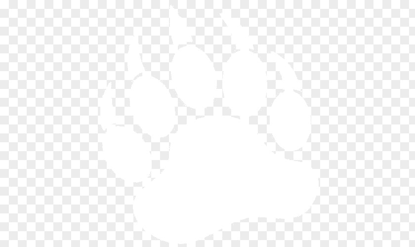 Bear Footprint United States Desktop Wallpaper Light Royalty-free PNG