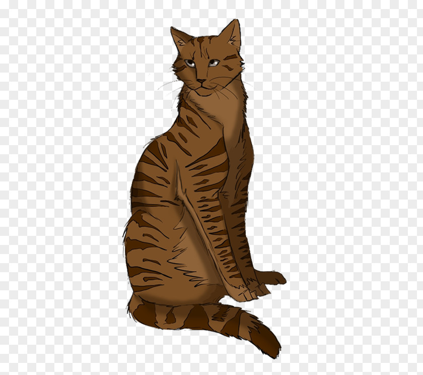 Lazy Fat Cat Whiskers Tabby Domestic Short-haired Wildcat PNG