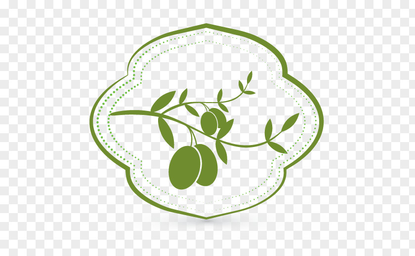 Olive Logo Oil Al Jawf Region PNG