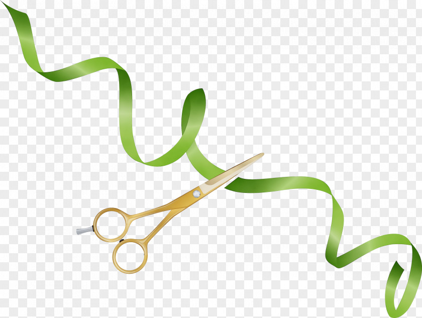 Plant Stem Font Line Lawn Plants PNG