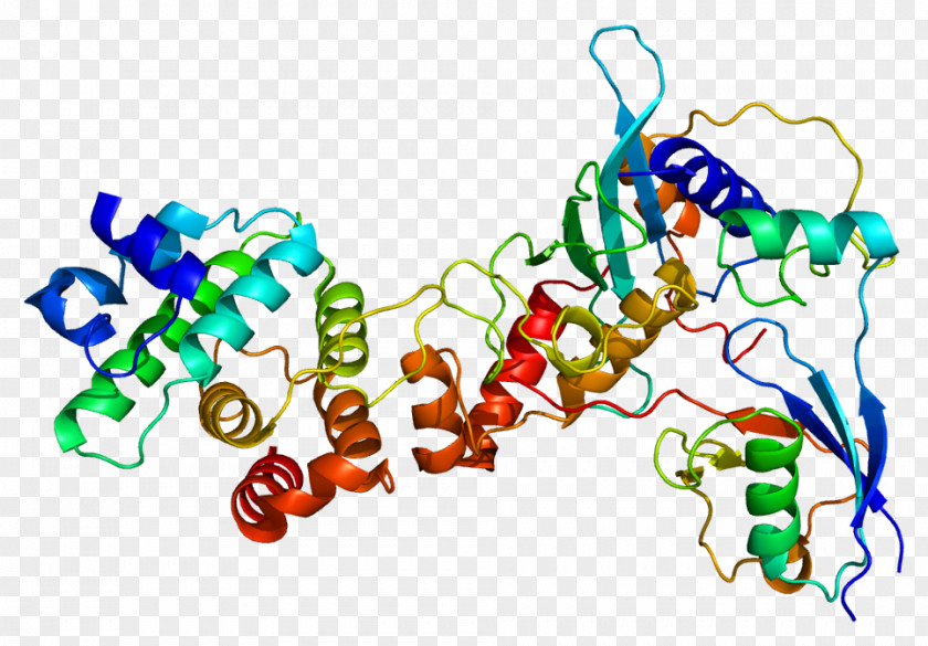 Quebe Sisters Band RANGAP1 Gene GTPase-activating Protein PNG