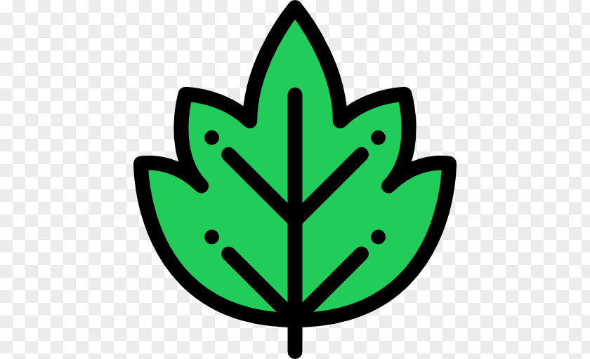 Rotation Leaf PNG