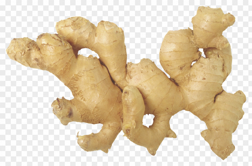 Ginger Tea Ale Chinese Cuisine Root Vegetables PNG