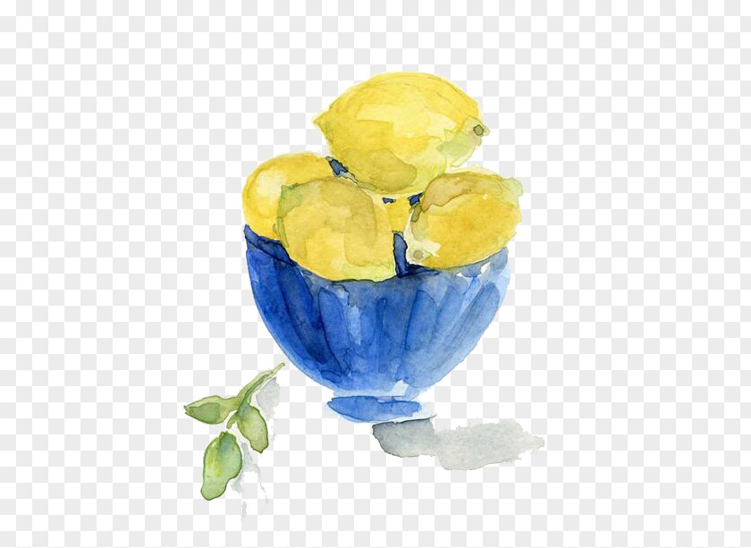 Mango Watercolor Still Life Painting Printmaking PNG