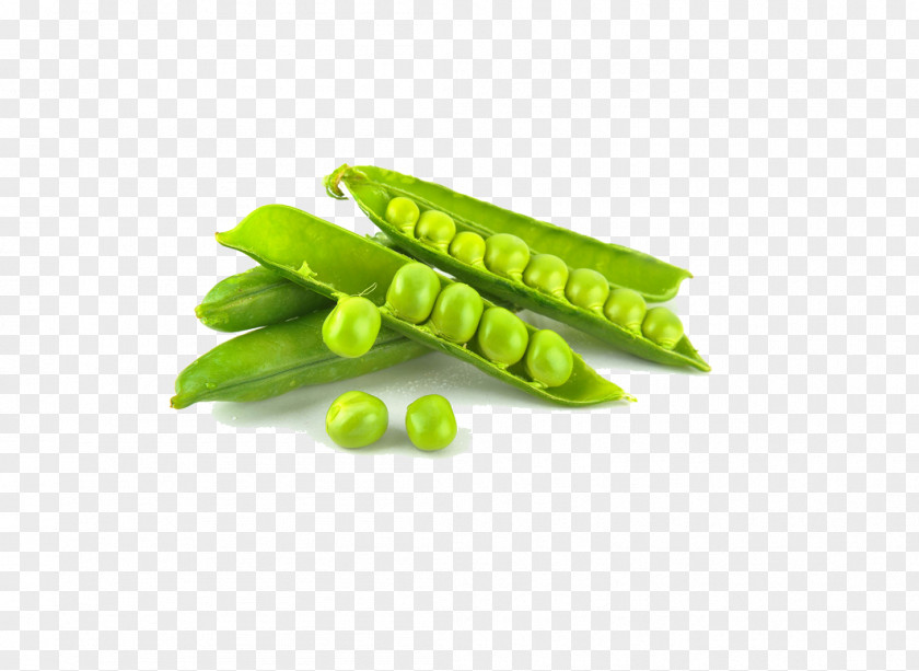 Pea Snow Vegetable Food Canning Fruit PNG